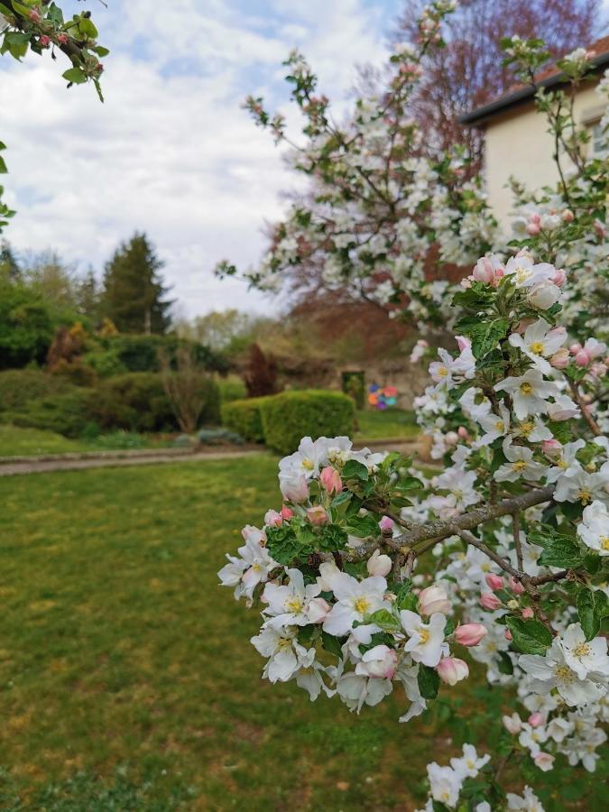 Chambres D'Hotes La Tuilerie Blainville-sur-l'Eau Eksteriør bilde